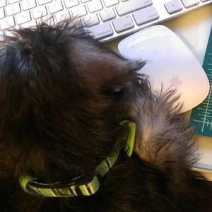 Meet your Posher, Martine